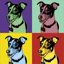 4ap-dog2