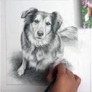 pencilsketch-dog