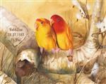 Summer Love Birds