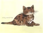 Wiley Kat
