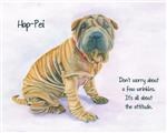 Sweet Shar-pei