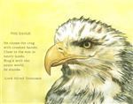 Eagle Eyes I