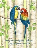 Affectionate Parrots