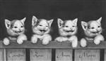 Kittens IV