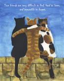 Feline Friends