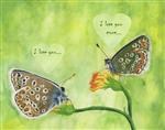 Butterflies
