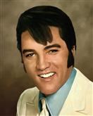 Elvis Presley Oil Painting Giclee