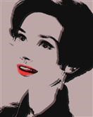 Audrey Hepburn Pop Art Limited Editions
