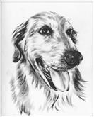 Hand Drawn Ink Rendering from Photos