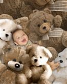Beary Fun from Photos