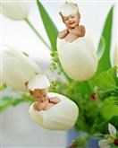 Tiptoe Tulips from Photos