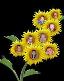 Sunflower Kids from Photos