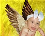 Angel Baby (Yellow) from Photos
