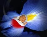 Blue Dreams from Photos