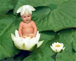 Lily Pad Baby from Photos