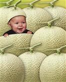 Cantaloupe Baby from Photos
