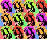 Pop Art 12 Panels from Photos