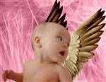 Angel Baby (Pink) from Photos