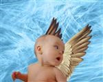 Angel Baby (Blue) from Photos