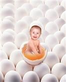 Newly Hatched from Photos