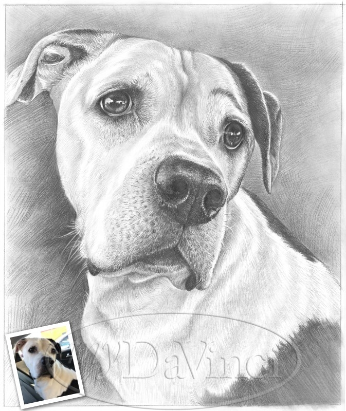 Custom Pet Line Drawing Portrait From Photo One Line Art Drawing Single Line Art Pet Sympathy Gift Pet Loss Gift DIGITAL DOWNLOAD