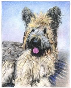 Hand Drawn Colored Pencil Portraits from Photos | Colored Pencil Drawings from Photos