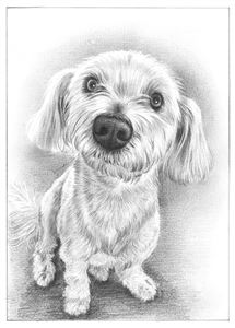 Hand Drawn Pencil Portraits from Photos | Pencil Portrait Drawing | Pencil Sketch Artists