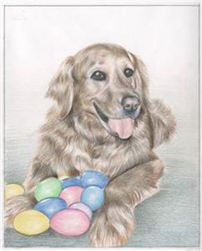 Hand Drawn Colored Pencil Portraits from Photos | Colored Pencil Drawings from Photos