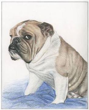Hand Drawn Colored Pencil Portraits from Photos | Colored Pencil Drawings from Photos