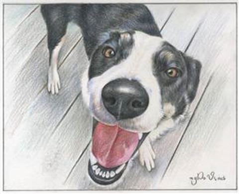Hand Drawn Colored Pencil Portraits from Photos | Colored Pencil Drawings from Photos