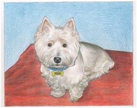 Hand Drawn Colored Pencil Portraits from Photos | Colored Pencil Drawings from Photos