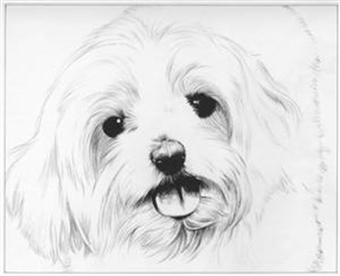 Hand Painted Ink Rendering Portraits from Photos