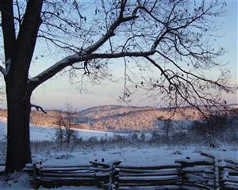 Print Photos On Canvas, Premium Photo Paper, or Fine Art Paper