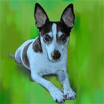 1 Panel Pop Art Portraits from Photos