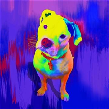 1 Panel Pop Art Portraits from Photos