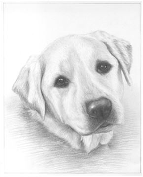 Hand Drawn Pencil Portraits from Photos | Pencil Portrait Drawing | Pencil Sketch Artists