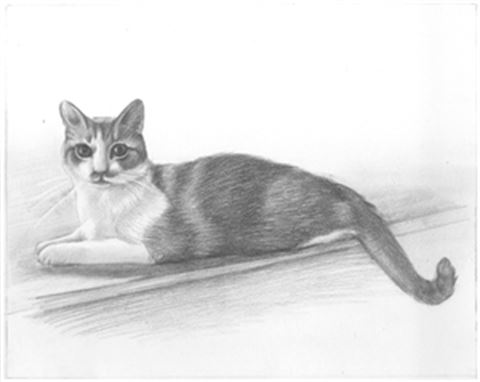Hand Drawn Pencil Portraits from Photos | Pencil Portrait Drawing | Pencil Sketch Artists