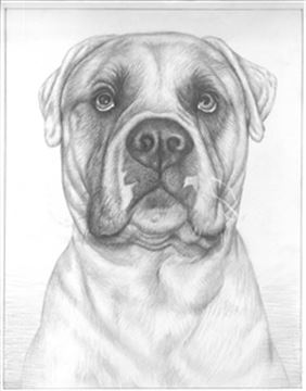 Hand Drawn Pencil Portraits from Photos | Pencil Portrait Drawing | Pencil Sketch Artists
