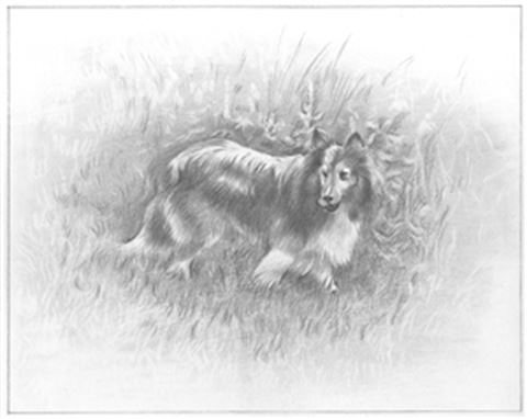 Hand Drawn Pencil Portraits from Photos | Pencil Portrait Drawing | Pencil Sketch Artists