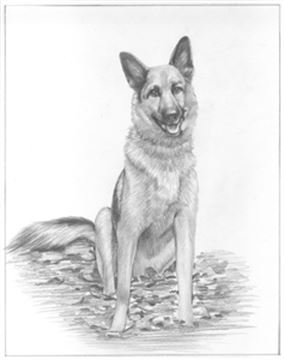 Hand Drawn Pencil Portraits from Photos | Pencil Portrait Drawing | Pencil Sketch Artists