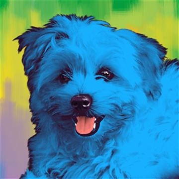 1 Panel Pop Art Portraits from Photos