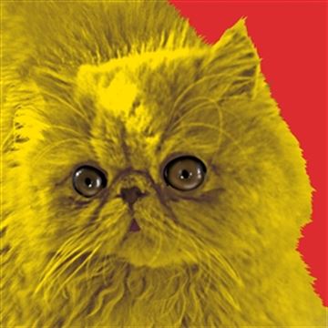 1 Panel Pop Art Portraits from Photos