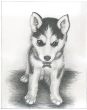 Hand Drawn Pencil Portraits from Photos | Pencil Portrait Drawing | Pencil Sketch Artists