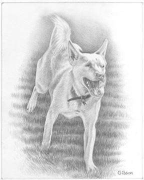 Hand Drawn Pencil Portraits from Photos | Pencil Portrait Drawing | Pencil Sketch Artists
