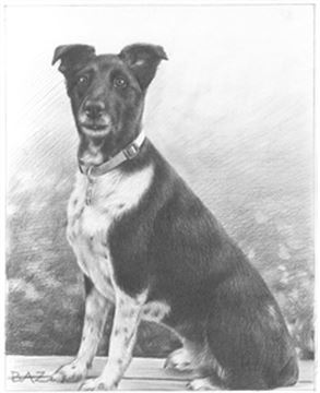 Hand Drawn Pencil Portraits from Photos | Pencil Portrait Drawing | Pencil Sketch Artists
