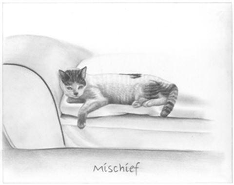Hand Drawn Pencil Portraits from Photos | Pencil Portrait Drawing | Pencil Sketch Artists
