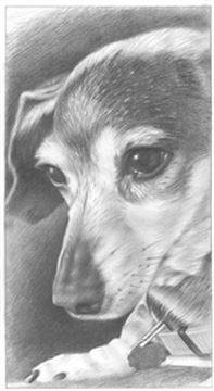 Hand Drawn Pencil Portraits from Photos | Pencil Portrait Drawing | Pencil Sketch Artists