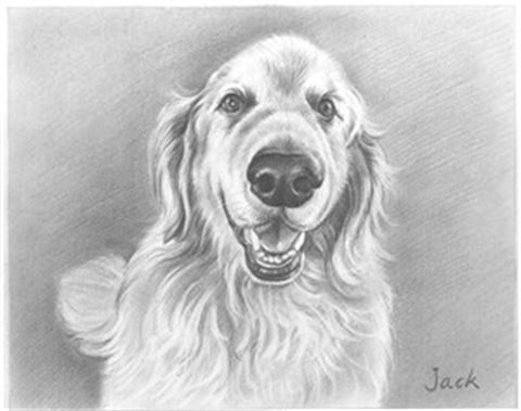 Hand Drawn Pencil Portraits from Photos | Pencil Portrait Drawing | Pencil Sketch Artists