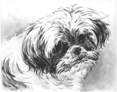 Hand Painted Ink Rendering Portraits from Photos