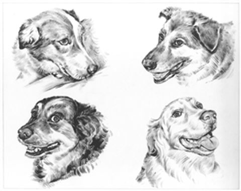 Hand Painted Ink Rendering Portraits from Photos